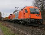 1216 902 mit 293.003 der RTS und einem Bauzug in Fahrtrichtung Norden. Aufgenommen in Wehretal-Reichensachsen am 28.03.2016.