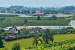 Von der Baustelle in Bodolz kommend befindet sich DE81 der RheinCargo (98 80 0272 019-7 D-RHC) mit den beladenen Schttgutkippwagen kurz vor der Entladestelle bei Oberreitnau.