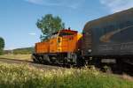 Lok 41 (MaK DE 1002) der Kreisbahn Siegen-Wittgenstein (KSW) fhrt am 05.07.2011 in Neinkirchen-Struthtten mit einem Gterzuges (beladen mit Coils),  auf KSW eigenem Gleis  Richtung