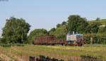 V103 mit dem Güterzügle rund um de Kaiserstuhl bei Bötzingen 16.6.14