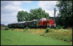 Am 13.07.2003 war die V 65001 der Osnabrücker Dampflokfreunde mit einem Sonderzug um 12.13 Uhr bei Leopoldstal unterwegs zum Viadukt Brückenfest in Altenbeken.