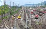 Blick von der Brücke der Rothofstraße auf den Rangierbahnhof Würzburg-Zell am 12.8.09 (Bild 2 v.3): 290 519 machte in der Mitte der Gleisanlagen eine Rangierpause.