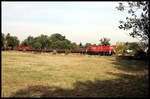 DB 290581 ist hier am 9.10.2018 um 12.19 Uhr mit ihrem Güterzug auf der Werkbahn nach Georgsmarienhütte in Hasbergen-Ohrbeck unterwegs.