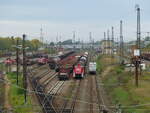 DB 290 505-7 rangiert am 21.10.2020 in Leipzig-Engelsdorf.