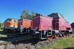 Die Diesellokomotiven V65 011, 290 001-7 & 218 137-8 präsentieren sich Anfang September 2021 hinter der Drehscheibe des Eisenbahnmuseums in Koblenz.