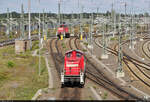 290 505-7 (290 005-8 | DB V 90 005) rangiert vom Ablaufberg der Zugbildungsanlage (ZBA) Halle (Saale) hinunter zu den Richtungsgleisen.
