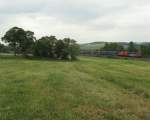 Die  Heidi  421 395 und die 291 037 ziehen den Containerzug durch das Vogtland.