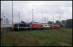 291036 bringt einen bunten Lokzug zur Fahrzeugausstellung am 30.9.1995 zur Eröffnung des Verschiebebahnhofs nach Hamburg Walthersdorf.
