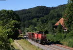 294 616-8 mit dem ER 76015 (Hausach-Villingen(Schwarzw) bei Gutach 28.6.19