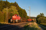 294 810 mit der Übergabe aus Neumarkt (Oberpf) bei Postbauer-Heng, 27.06.2019