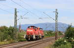 294 885-9 mit 363 692-5 im Schlepp als T 67024 (Basel Bad Rbf-Offenburg Gbf) bei Köndringen 23.7.20