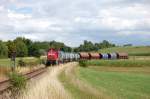 294 580 mit einem Gterzug bei Burgstall auf dem Weg nach Amberg (08.08.2008, Strecke Amberg-Schnaittenbach)