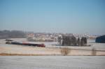 294 810 beim Gebenbacher Panoramablick am 09.01.2009 (Strecke Amberg-Schnaittenbach)