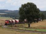 Die 294 816 am 04.09.2009 mit der bergabe nach Amberg unterwegs bei Mimbach.