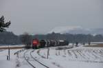 294 648 am 15.01.2010 bei Hirschau (Strecke Amberg-Schnaittenbach)