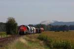 294 687 mit einem Gterzug am 24.09.2010 bei Hirschau. (Strecke Amberg-Schnaittenbach)