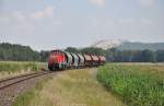 294 687 mit EK56937 am 27.07.2012 bei Hirschau am Monte-Blick. (Strecke Amberg-Schnaittenbach)