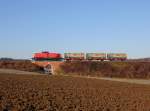 Die 294 804 mit einem Müllzug am 30.12.2013 unterwegs bei Hörbering.