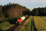 294 810 mit EK 56925 aus Freihöls am 03.06.2015 bei Irrenlohe.