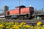 Schön macht sich Schmutzfink 294 842-0 hinter dem frischen Kaninchensalat... Konstanz, April 2016.