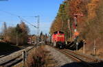 294 665-5 mit dem GC 60244 (Villingen(Schwarzw)-Rammelswiesen) am Esig Villingen 9.11.21.