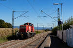 294 730-7 als T (Offenburg Gbf - Kehl) in Legelshurst 22.9.22