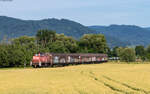 294 746 mit dem EZK 55284 (Oberkirch - Offenburg Gbf) bei Zusenhofen 17.6.25