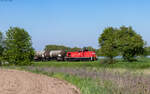 294 595 zieht die Wagen aus der DOW bei Rheinmünster 22.4.26