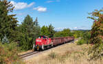 294 869 mit dem EZK 55297 (Villingen - Dei�lingen) bei Marbach 26.8.26