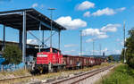 294 869 rangiert die neuen leeren E-Wagen in den Anschluss Schuler im Bahnhof Dei�lingen 26.8.26