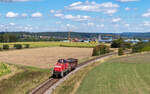 294 869 mit dem EZK 55298 (Dei�lingen - Villingen) bei Dei�lingen 26.8.26