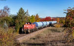 294 744 mit dem GAGC 60450 (Villingen - Rammelswiesen) bei Marbach 27.10.26