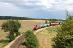294 580 mit einem Gterzug am 08.08.2008 zwischen Hirschau und Gebenbach (Strecke Amberg-Schnaittenbach)