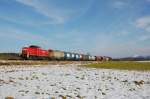 294 612 am 15.12.2008 mit einem Gterzug nach Amberg zwischen Hirschau und Gebenbach.