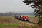 294 650 mit Gterzug am 13.11.2009 bei Hirschau (Strecke Amberg-Schnaittenbach)