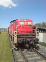 294 809-9 Zur Zeit der Fuball EM im Bahnhof Sarnau, am 20.06.2008