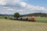 294 750 mit einer bergabe von Hirschau nach Amberg am 24.06.2011 bei Mimbach.