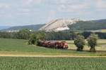 294 750 mit einer bergabe von Hirschau nach Amberg am 24.06.2011 zwischen Hirschau und Gebenbach.