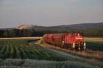294 765 mit Gterzug am 26.06.2012 im letzten Abendlicht bei Hirschau (Strecke Amberg-Schnaittenbach)