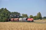 294 717 mit EK56937 am 14.09.2012 bei Schweighof (Strecke Amberg-Schnaittenbach)    