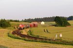 294 676 (98 80 3294 676-2 D-DB) mit EK56939 am 18.06.2013 bei Burgstall (Strecke Amberg - Schnaittenbach)