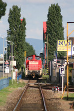 294 595 II hat soeben die Diffené-Brücke passiert und somit die Friesenheimer Insel erreicht.