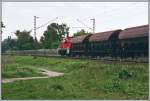 Die Oberhausener 294 860 fhrt mit einem Gterzug von Dlmen Richtung Recklinghausen. Aufgenommen am 18.05.07 bei Haltern am See.
