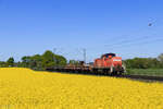 294 747-1 (DB Cargo) mit einem G�terzug in Meerbusch B�singhoven, 23. April 2026