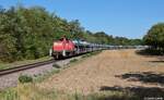 Entlang der Rastatter Rieds gibt es eine Industriebahn im gr�nen, diese verbindet das Mercedes-Benz Werk mit dem Bahnhof Rastatt. Am Morgen des 7. August 2026 brachte die DB Cargo 294 868 einen beladenen Autozug aus dem Werk. 