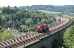 Br 294 847 am 3.07.09 als Lz nach Detmold auf dem Bekeviadukt, vor Altenbeken.