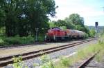 294 671-3 durchfuhr am 17.06.2010 mit FZT 54358 Paderborn Gbf - Herste den Hp Bad Driburg.