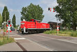 Nördlicher Anschluss der Finsterwalder Transport und Logistik GmbH in Halle (Saale)    294 619-2 überquert mit ihren Schiebewandwagen, die sie bei Finsterwalder abgeholt hatte, die sonst