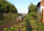 295 088 zu sehen am 17.09.14 in Jößnitz beim Nachschieben eines Containerzuges.