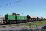 Brohltalbahn 295 049 rangiert einige Selbstentladewagen ins Bahnhof von Neuwied am 30 April 2026.